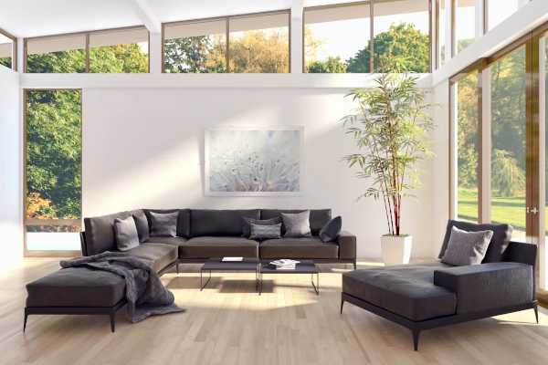 Fixed wooden windows