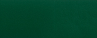 RAL 6005 matte
